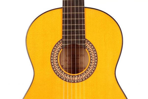 Lester Devoe 2014 - Guitar 3 - Photo 8