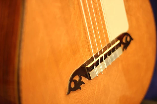 Santos Hernandez 1921 - Guitar 3 - Photo 10