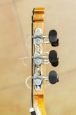 Francisco Barba 2014 - Guitar 1 - Photo 12