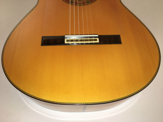 Francisco Barba 2016 - Guitar 1 - Photo 24