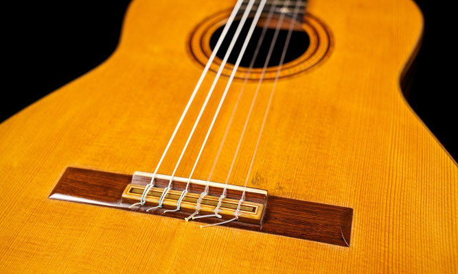 Santos Hernandez 1930 - Guitar 2 - Photo 8