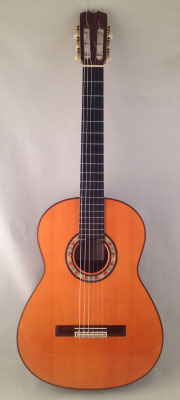 Felipe Conde 2010 - Guitar 2 - Photo 22