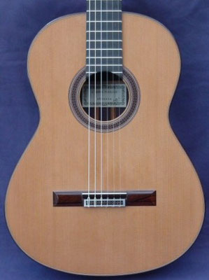 Jose Marin Plazuelo 2008 - Guitar 1 - Photo 5