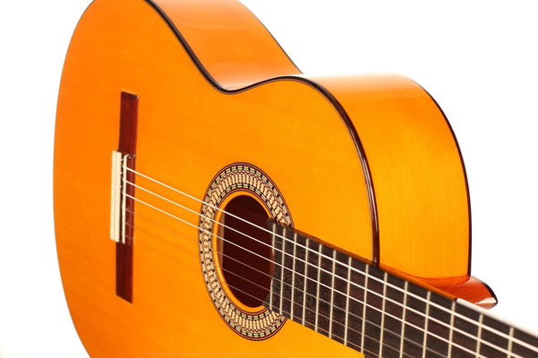 Lester Devoe 2014 - Guitar 3 - Photo 10