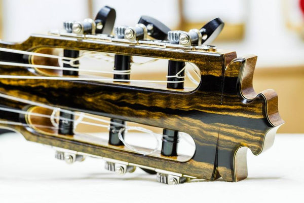 Francisco Barba 2014 - Guitar 1 - Photo 16