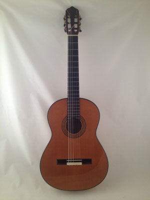 Lester Devoe 2012 - Guitar 3 - Photo 14