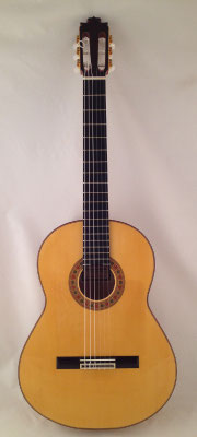 Francisco Barba 2013 - Guitar 2 - Photo 16