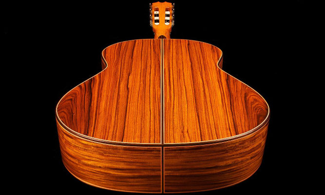 Felipe Conde 2010 - Guitar 4 - Photo 12