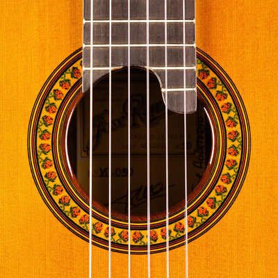 Jose Ramirez 2010 - Guitar 3 - Photo 9