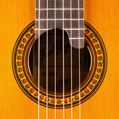 Jose Ramirez 2010 - Guitar 3 - Photo 9