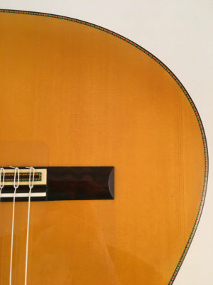 Francisco Barba 2016 - Guitar 1 - Photo 20
