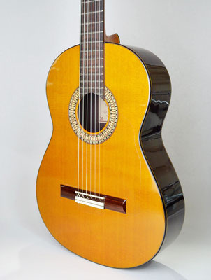 Lester Devoe 2017 - Guitar 1 - Photo 5