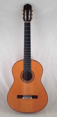 Manuel Reyes 1994 - Guitar 2 - Photo 17