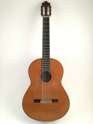 Francisco Barba 1992 - Guitar 2 - Photo 28
