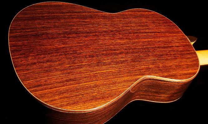 Lester Devoe 2007  - Guitar 1 - Photo 10