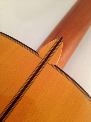 Francisco Barba 2015 - Guitar 1 - Photo 11