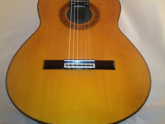 Francisco Barba 2015 - Guitar 1 - Photo 4