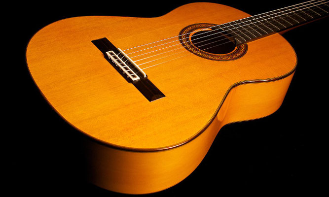 Jose Ramirez 2012 - Guitar 1 - Photo 9