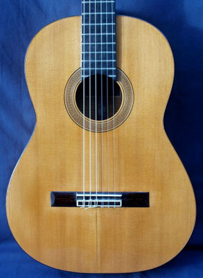 Santos Hernandez 1924 - Guitar 2 - Photo 4