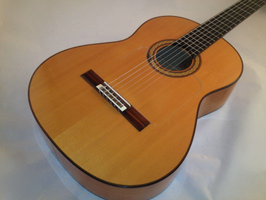 Manuel Reyes 1990 - Guitar 2 - Photo 8