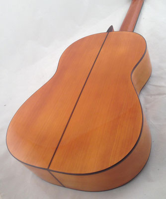 Manuel Reyes Hijo 2016 - Guitar 1 - Photo 16