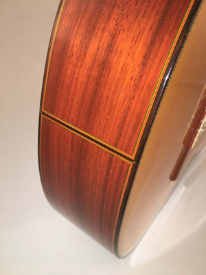 Francisco Barba 2016 - Guitar 3 - Photo 10