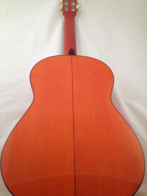 Felipe Conde 2013 - Guitar 6 - Photo 8