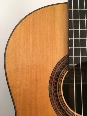 Santos Hernandez 1926 - Guitar 1 - Photo 6
