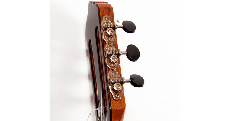 Lester Devoe 2013 - Guitar 2 - Photo 8