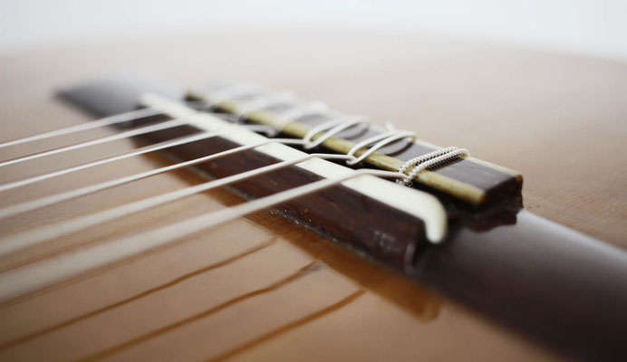Santos Hernandez 1925 - Guitar 1 - Photo 7