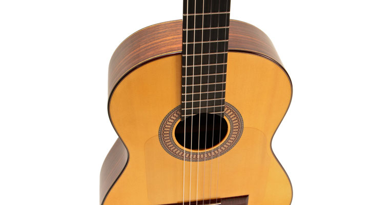 Lester Devoe 2014 - Guitar 2 - Photo 8