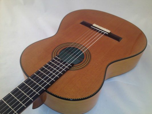 Lester Devoe 2012 - Guitar 3 - Photo 5