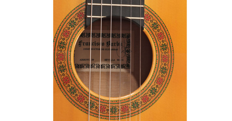 Francisco Barba 2012 - Guitar 1 - Photo 5