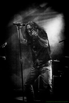by mike weibel