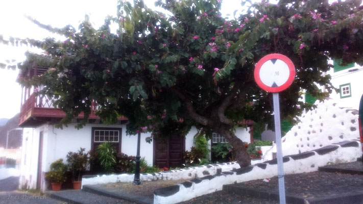 Stadtteil El Dornaje, Santa Cruz de La Palma