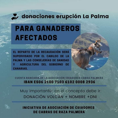 donaciones-volcan-la-palma-ganaderos