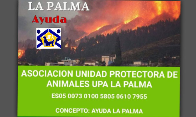 donaciones-volcan-la-palma-upa-protectora-animal