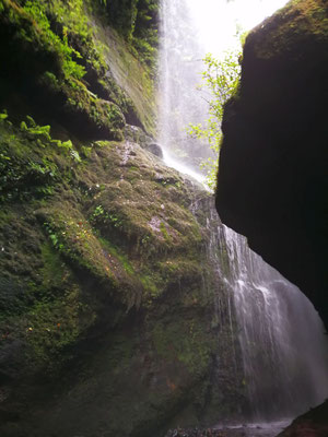 wasserfall-in-einer-schlucht-im-lorbeerwald-los-tilos-la-palma