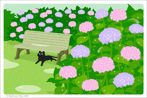 たびねこイラスト-6　あまやどり