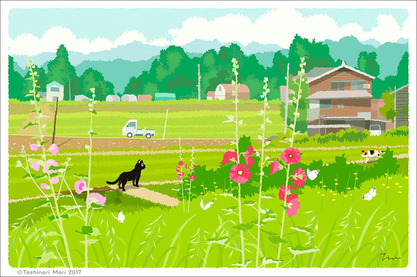 たびねこイラスト-30　初夏の光