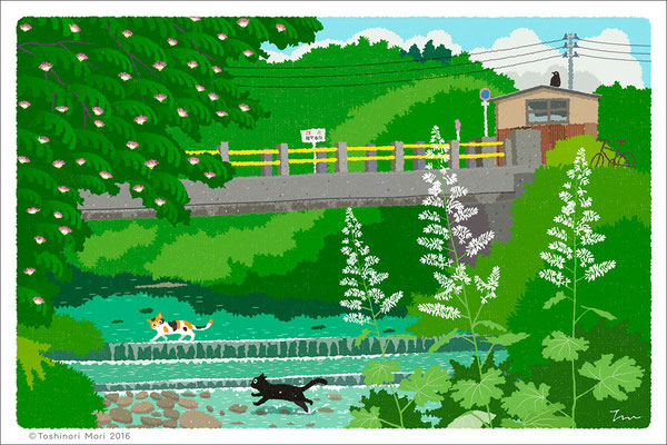 たびねこイラスト-19　夏の川を渡る