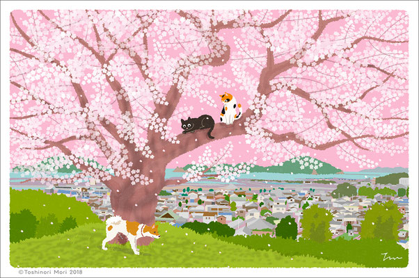 たびねこイラスト-49　丘の上の桜