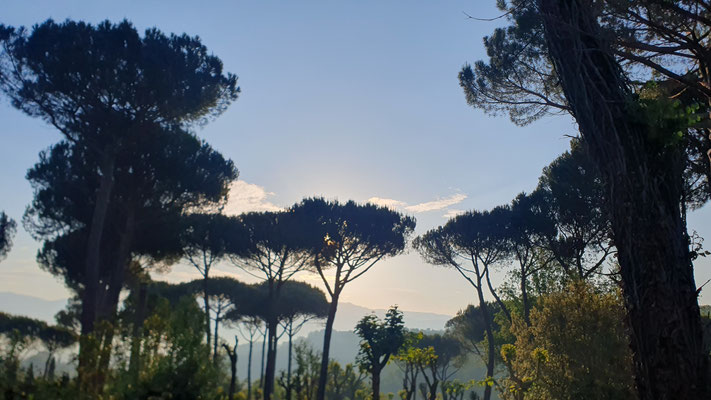 Sonnenaufgang in der Toscana.