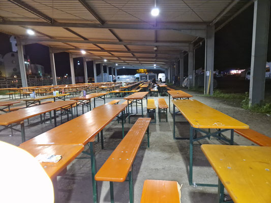 Last Man Standing! 