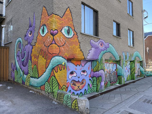 Des chats sur un coin d'un bloc d'appartements