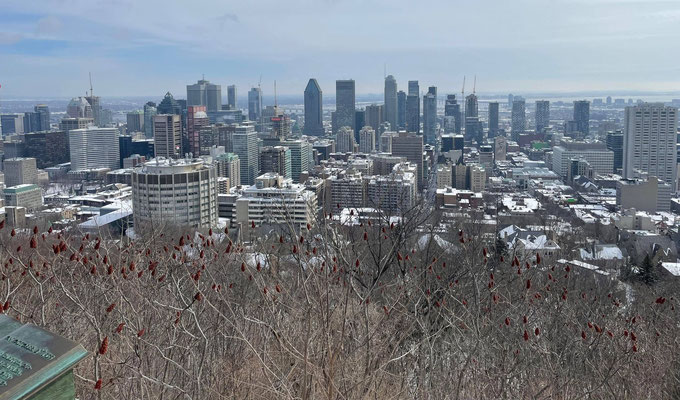 Montréal en hiver