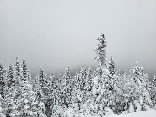 Le paysage magnifique à plus de 1000 mètres