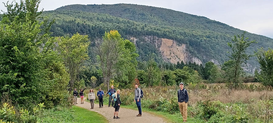 Tranquillement, le groupe prend son élan vers la cime de Cap Tourmente