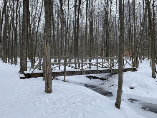 Un pont de bois