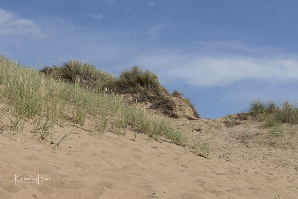 Dünenlandschaft auf Kullaberg